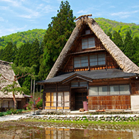 >The Historic Village Gokayama